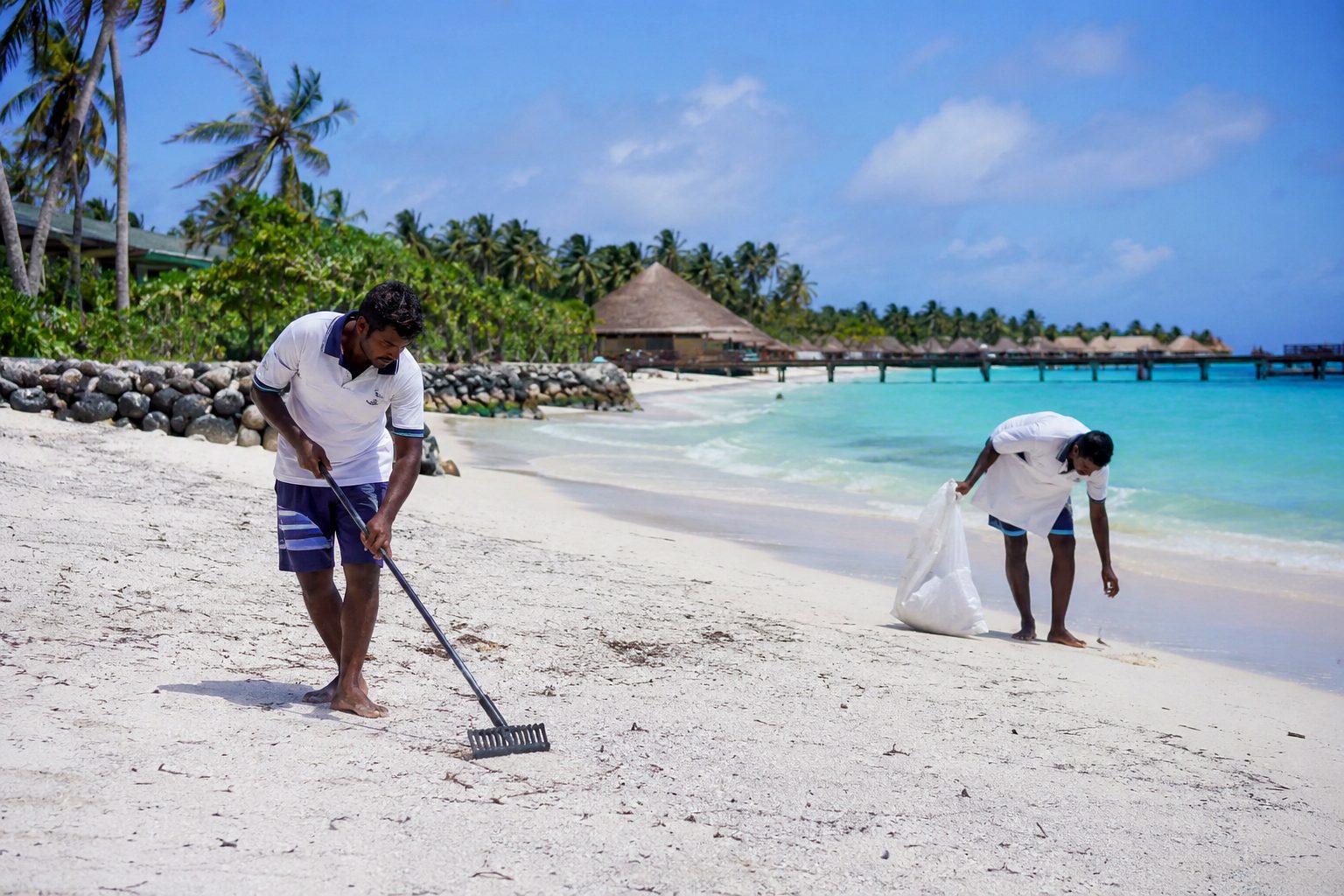 Cleaning Services